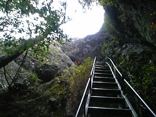 b0058840_8282361.jpg