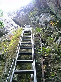 b0058840_829967.jpg