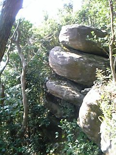 b0058840_8414496.jpg