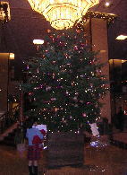 c0023545_21544232.jpg