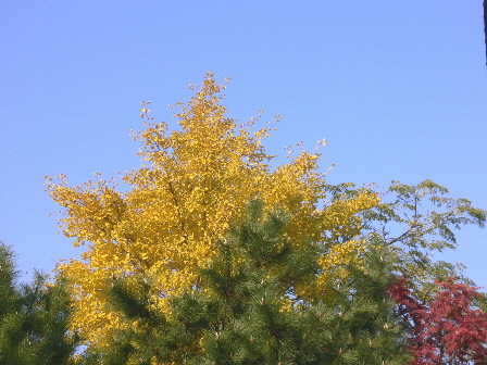 d0013149_2216173.jpg