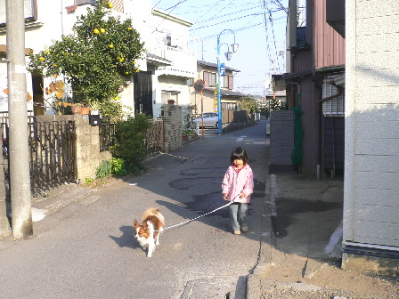 d0013149_2291158.jpg