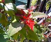 e0065350_23443389.jpg