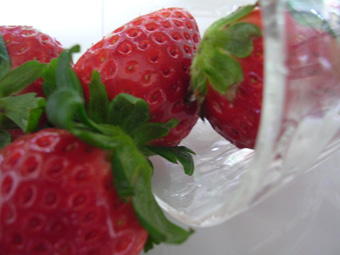 e0029053_317790.jpg