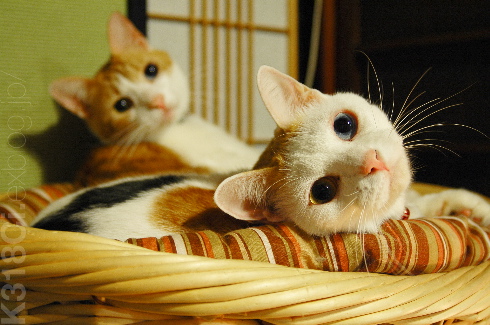 a0067056_2328437.jpg