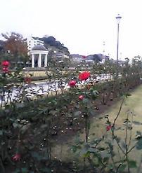 a0047760_16575890.jpg