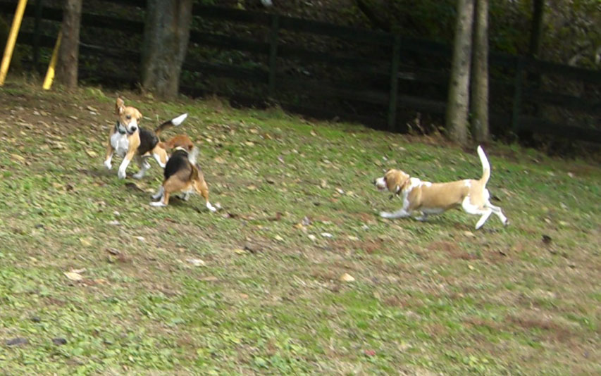 e0007060_23235235.jpg