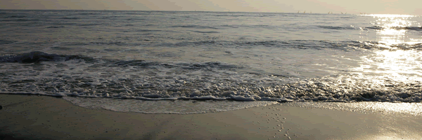 c0062361_21284088.gif