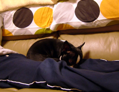 c0032567_11515674.jpg