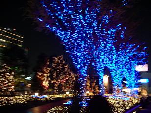 c0053571_2223471.jpg