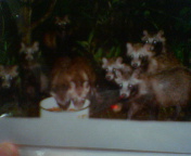 c0012180_22474548.jpg