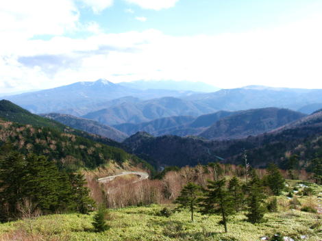 c0038983_0343818.jpg