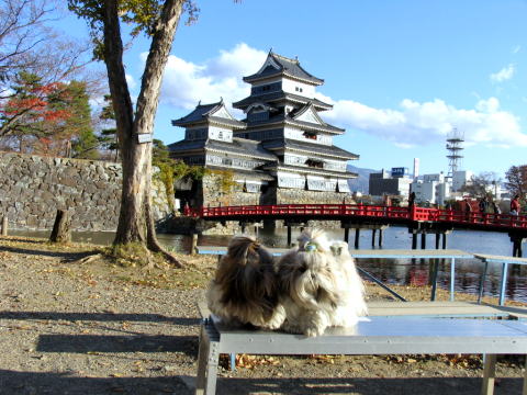 c0038983_0411323.jpg