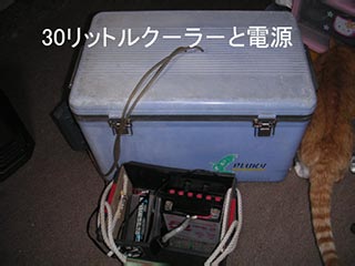 e0023183_3553226.jpg