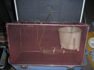 e0023183_3555856.jpg