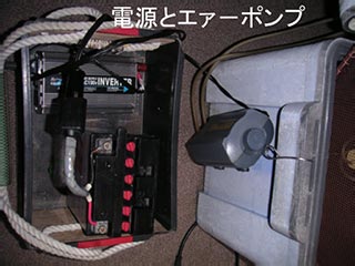 e0023183_3561024.jpg