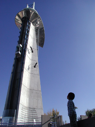 e0023086_6322185.jpg