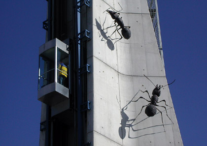 e0023086_633873.jpg