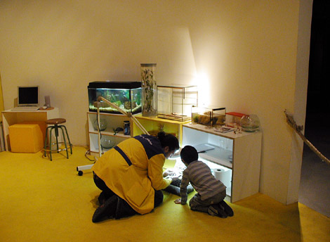 e0023086_643059.jpg