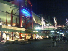b0006289_20492373.jpg