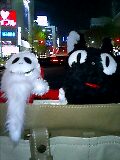 c0045190_20342984.jpg