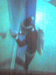 d0063903_8475054.jpg