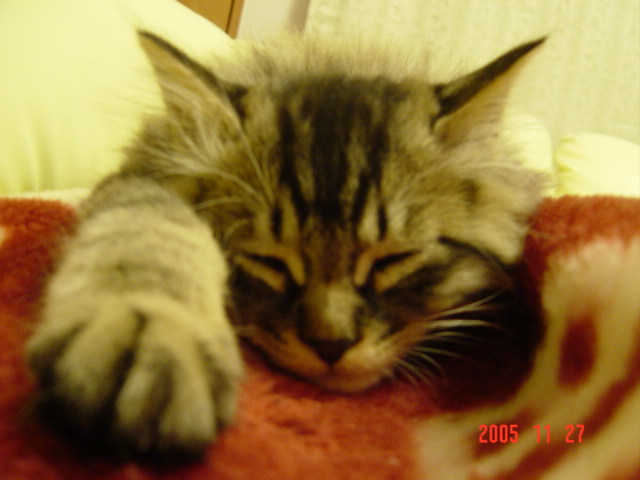 a0048408_1015024.jpg