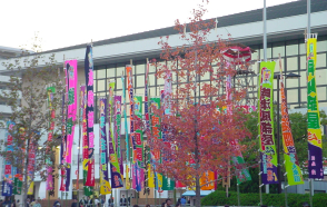 b0038008_7465458.jpg