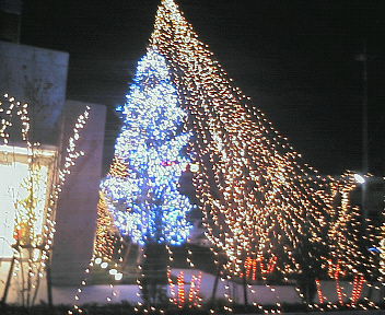 d0013816_21363782.jpg