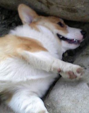 c0003217_15188.jpg