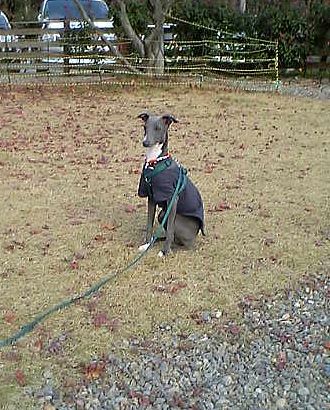 c0003217_152552.jpg
