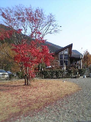 c0003217_173458.jpg