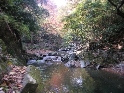 e0071225_1524149.jpg