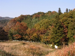 e0071225_203644.jpg