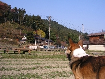 e0071225_242264.jpg