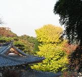 a0043326_21405289.jpg