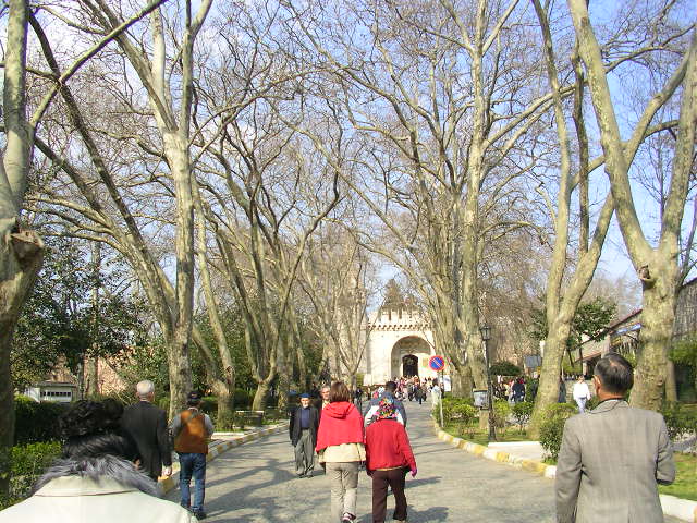 d0017129_9224837.jpg