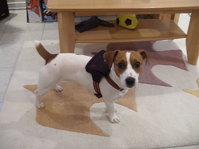 c0035931_22541495.jpg