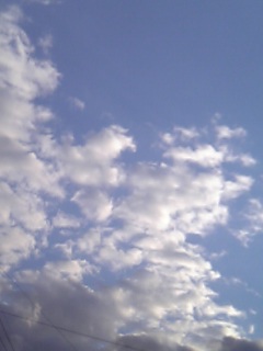 e0072533_162267.jpg