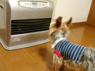 f0002833_2010659.jpg