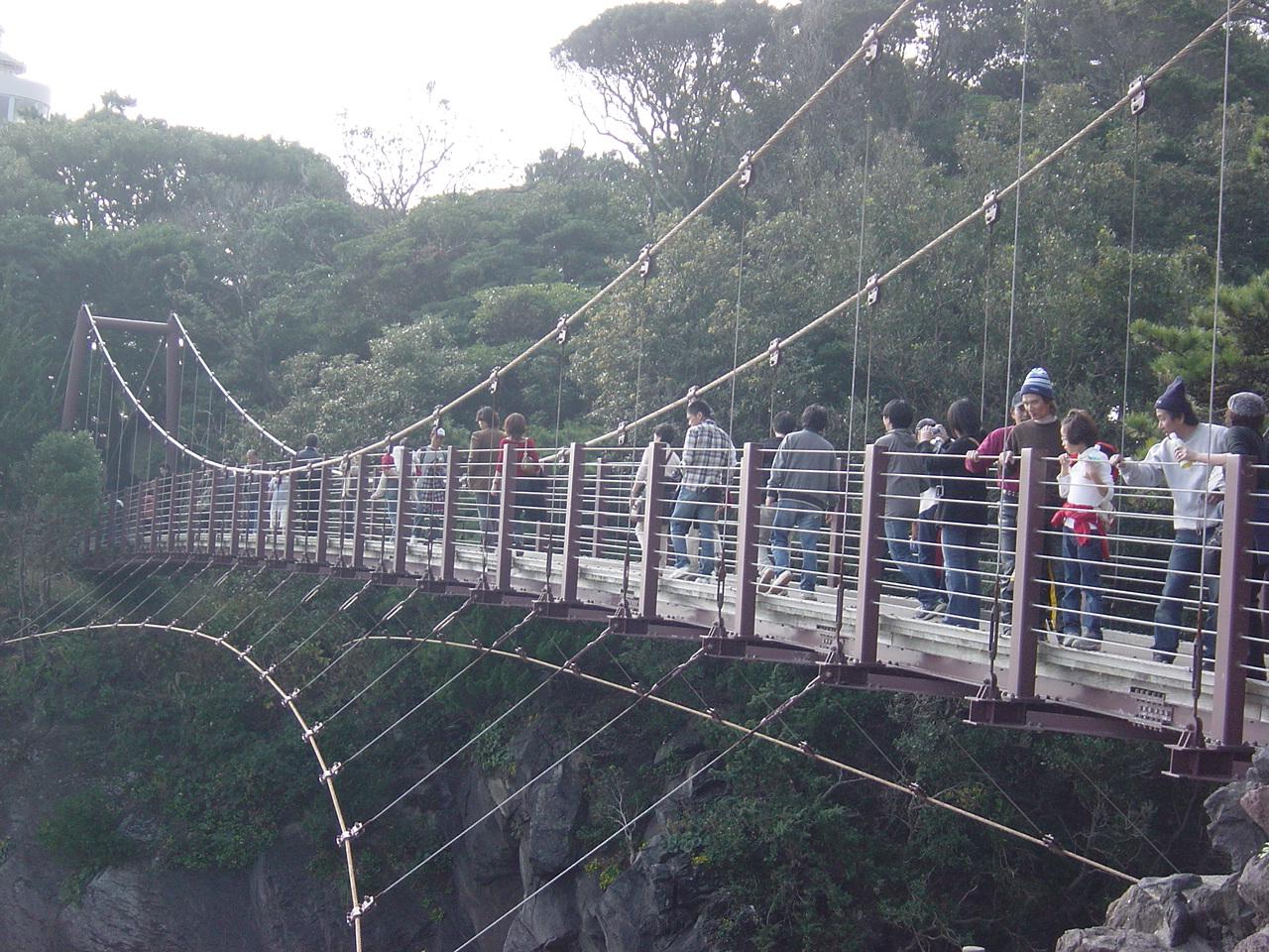 c0038436_1421585.jpg