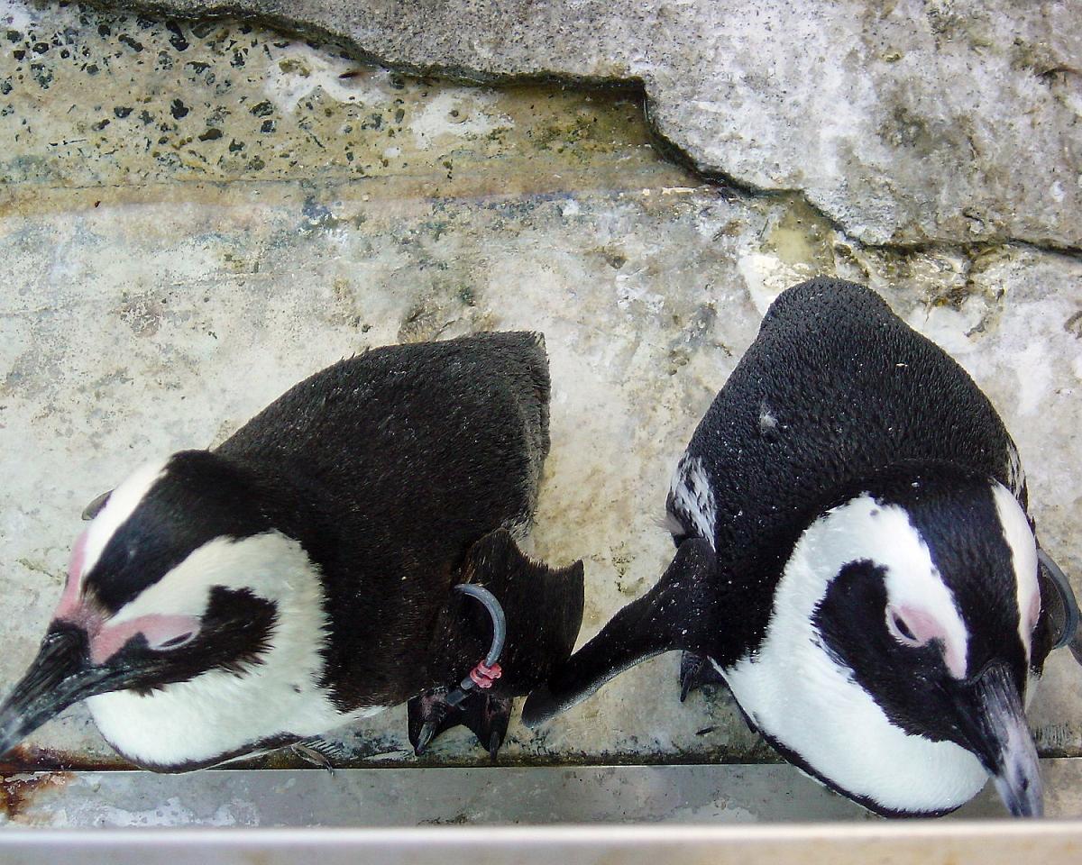 c0038436_143461.jpg