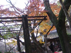 d0020443_0402367.jpg