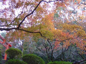 d0020443_10561864.jpg
