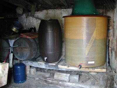 b0069848_6152473.jpg