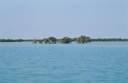 b0006449_6141824.jpg