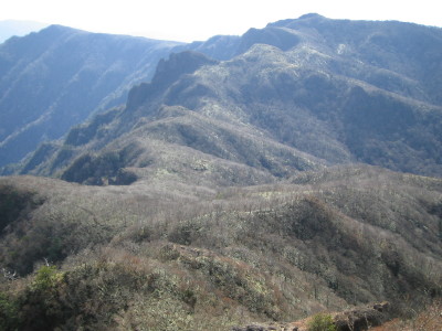 a0013751_23385434.jpg