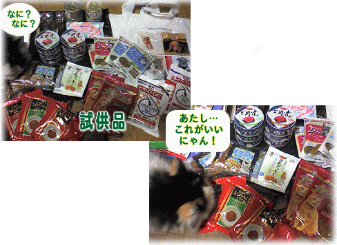 c0025852_21334149.gif