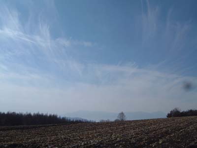 b0045357_15441421.jpg