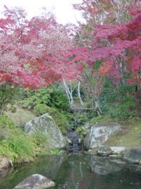 c0066157_22515585.jpg